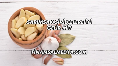 Sarımsak Sivilcelere İyi Gelir mi?