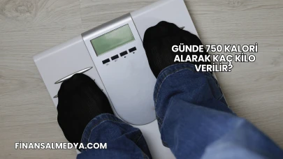 Günde 750 Kalori Alarak Kaç Kilo Verilir?