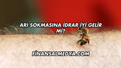 Arı Sokmasına İdrar İyi Gelir mi?