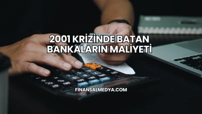 2001 Krizinde Batan Bankaların Maliyeti