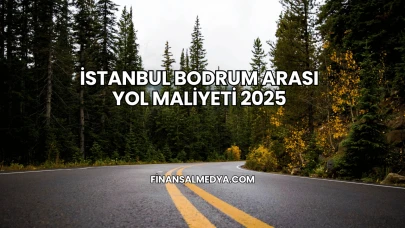 İstanbul Bodrum Arası Yol Maliyeti 2025