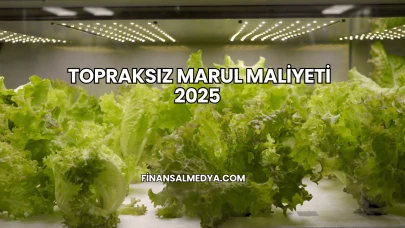 Topraksız Marul Maliyeti 2025