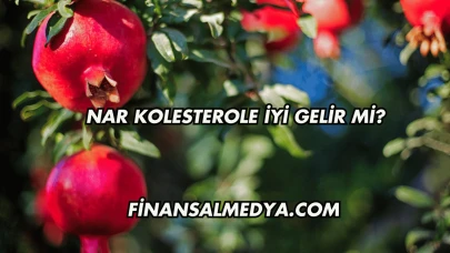 Nar Kolesterole İyi Gelir mi?