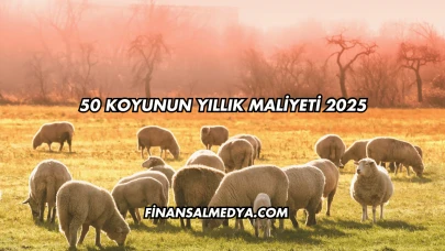 50 Koyunun Yıllık Maliyeti 2025