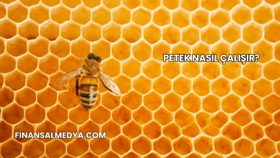 Petek Nasıl Çalışır?