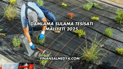 Damlama Sulama Tesisatı Maliyeti 2025