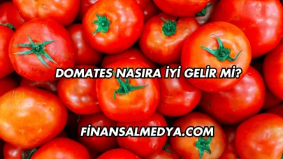 Domates Nasıra İyi Gelir mi?
