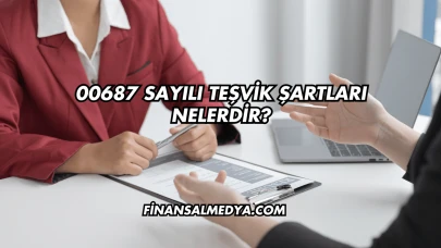 00687 Sayılı Teşvik Şartları Nelerdir?