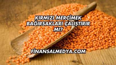 Kırmızı Mercimek Bağırsakları Çalıştırır mı?