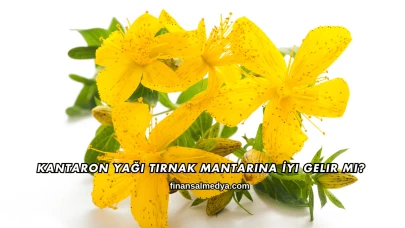 Kantaron Yağı Tırnak Mantarına İyi Gelir mi?