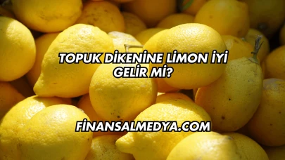 Topuk Dikenine Limon İyi Gelir mi?