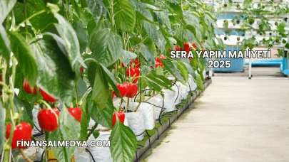 Sera Yapım Maliyeti 2025