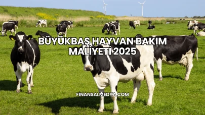 Büyükbaş Hayvan Bakım Maliyeti 2025