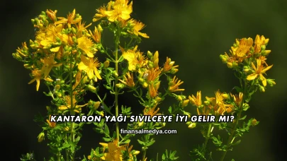 Kantaron Yağı Sivilceye İyi Gelir mi?