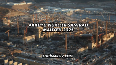 Akkuyu Nükleer Santrali Maliyeti 2025