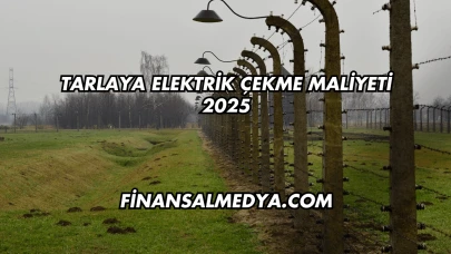 Tarlaya Elektrik Çekme Maliyeti 2025