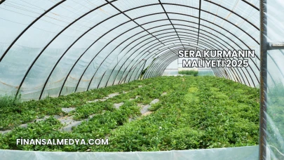 Sera Kurmanın Maliyeti 2025