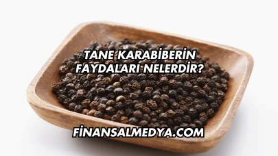 Tane Karabiberin Faydaları Nelerdir?