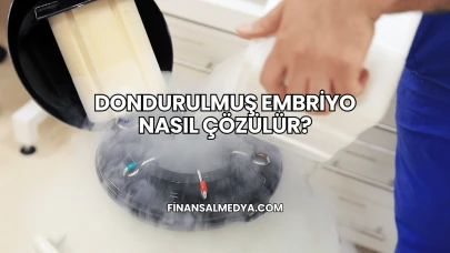 Dondurulmuş Embriyo Nasıl Çözülür?