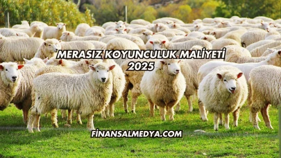 Merasız Koyunculuk Maliyeti 2025