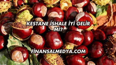 Kestane İshale İyi Gelir mi?
