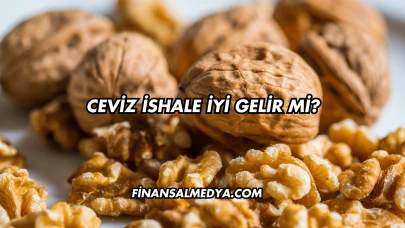Ceviz İshale İyi Gelir mi?