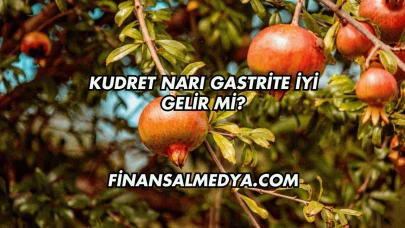 Kudret Narı Gastrite İyi Gelir mi?