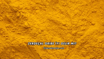 Zerdeçal Gribe İyi Gelir mi?