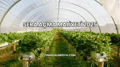 Sera Açma Maliyeti 2025