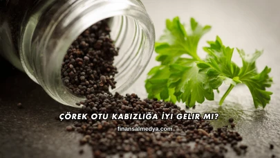 Çörek Otu Kabızlığa İyi Gelir mi?