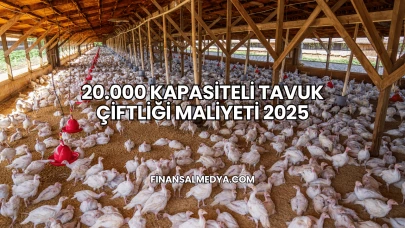 20.000 Kapasiteli Tavuk Çiftliği Maliyeti 2025