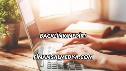 Backlink Nedir?