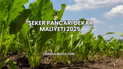 Şeker Pancarı Dekar Maliyeti 2025