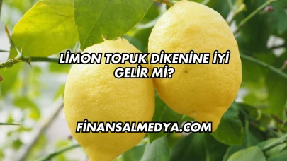 Limon Topuk Dikenine İyi Gelir mi?