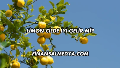 Limon Cilde İyi Gelir mi?