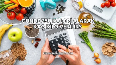 Günde 750 Kalori Alarak Kaç Kilo Verilir?