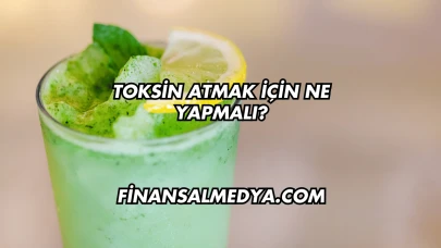 Toksin Atmak İçin Ne Yapmalı?