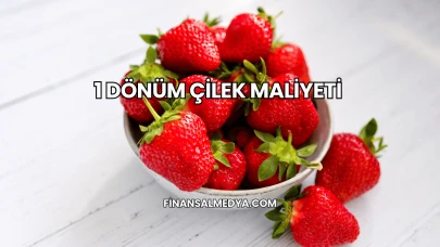 1 Dönüm Çilek Maliyeti