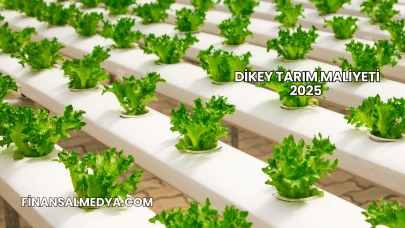 Dikey Tarım Maliyeti 2025