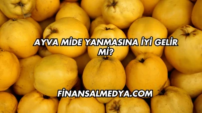 Ayva Mide Yanmasına İyi Gelir mi?