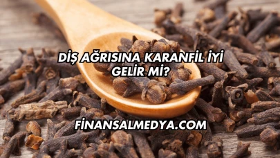 Diş Ağrısına Karanfil İyi Gelir mi?