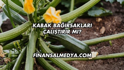 Kabak Bağırsakları Çalıştırır mı?