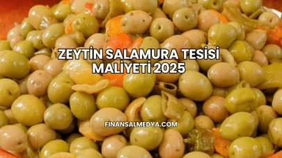 Zeytin Salamura Tesisi Maliyeti 2025