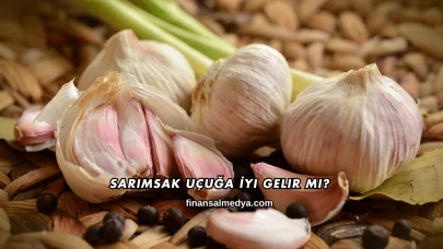Sarımsak Uçuğa İyi Gelir mi?