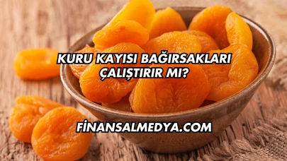 Kuru Kayısı Bağırsakları Çalıştırır mı?