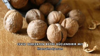 Ceviz Gerçekten Beyni Güçlendirir mi?