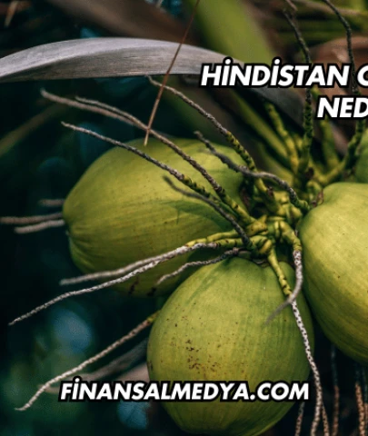 Hindistan Cevizi Diyeti Nedir?