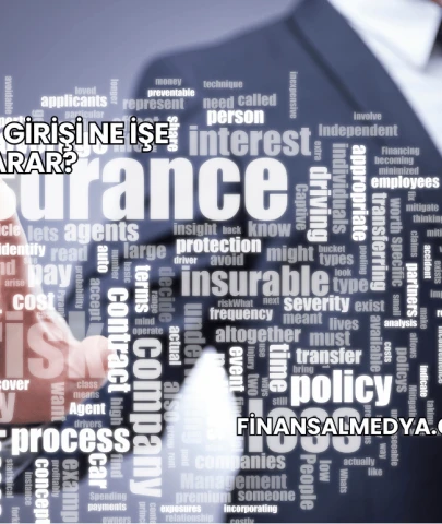 Sigorta Girişi Ne İşe Yarar?