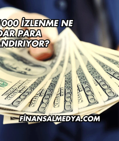 YouTube 1000 İzlenme Ne Kadar Para Kazandırıyor?