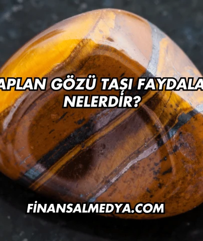 Kaplan Gözü Taşı Faydaları Nelerdir?